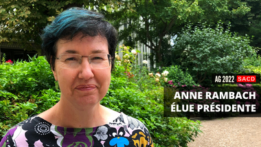 Anne Rambach élue présidente de la SACD